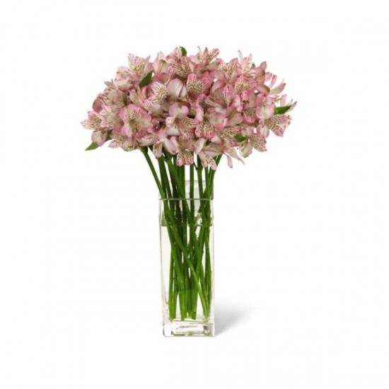 The Pure Bliss Bouquet
